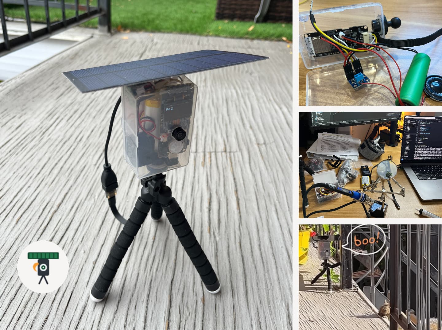 BalconyPatrol AI wildlife camera