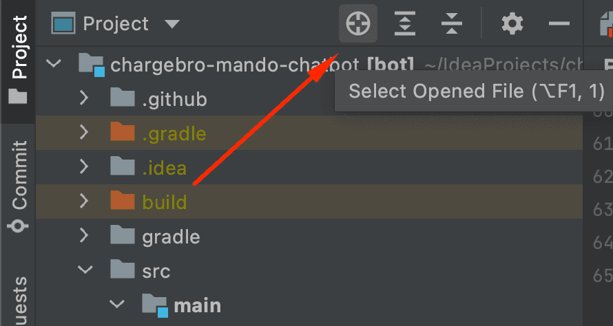 IntelliJ IDEA Pro User Guide
