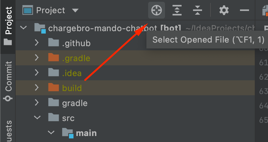 IntelliJ IDEA Pro User Guide