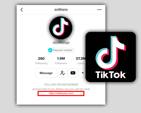 Only one clickable link in TikTok